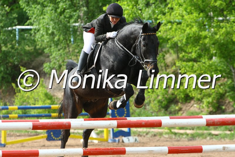 104M4067_FBW Warwick_Spring M.JPG